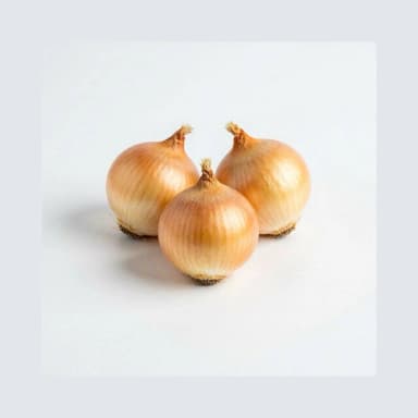 Cebolla