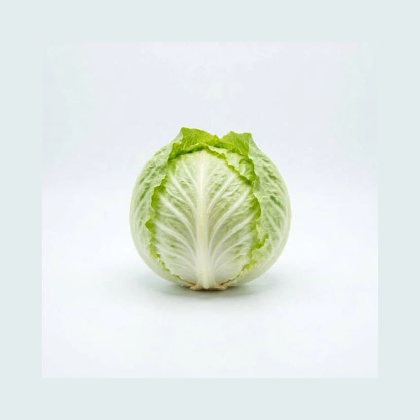 Lechuga capuchina
